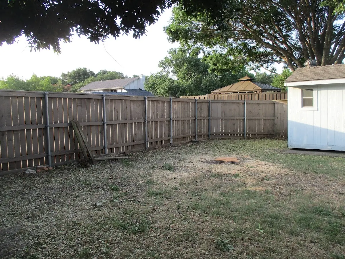 Cleared yard after professional tree removal in Granite Canon